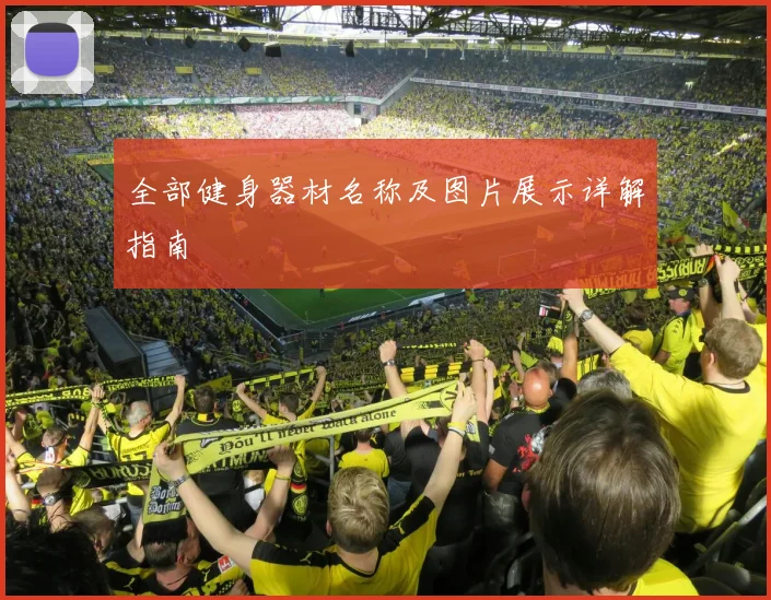 全部健身器材名称及图片展示详解指南