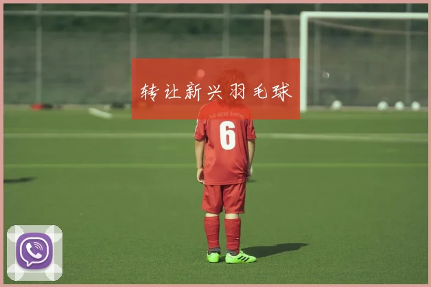 转让新兴羽毛球