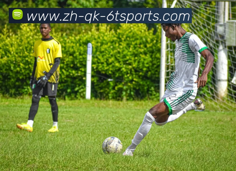 6T体育品牌故事